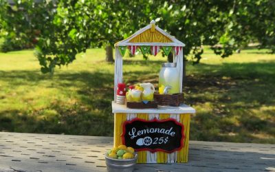 Lessons in Entrepreneurship from a Lemonade Stand